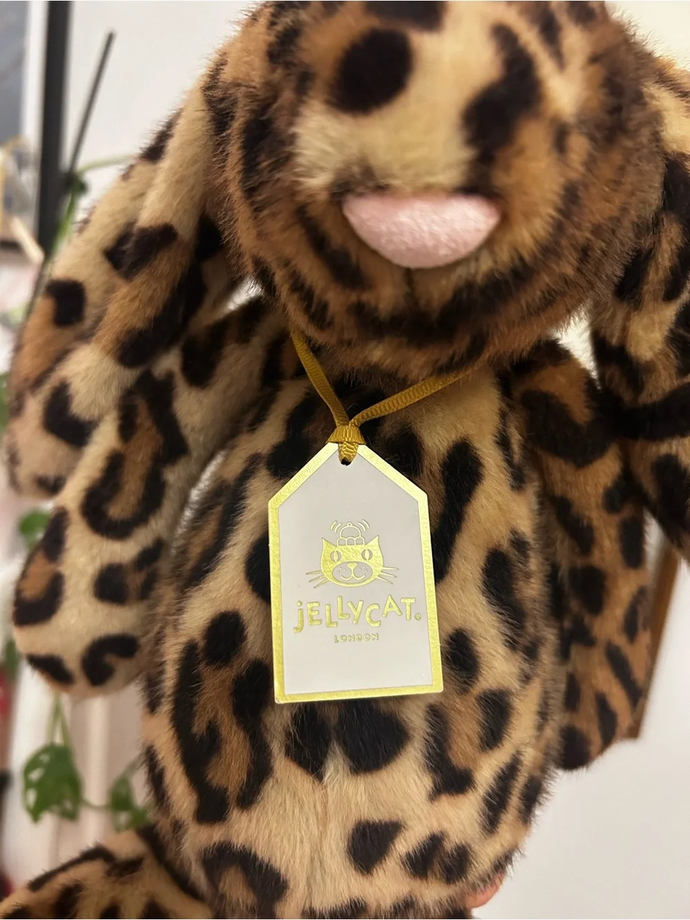 Jellycat exclusive comes